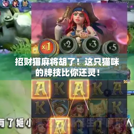 招财猫麻将胡了！这只猫咪的牌技比你还灵！