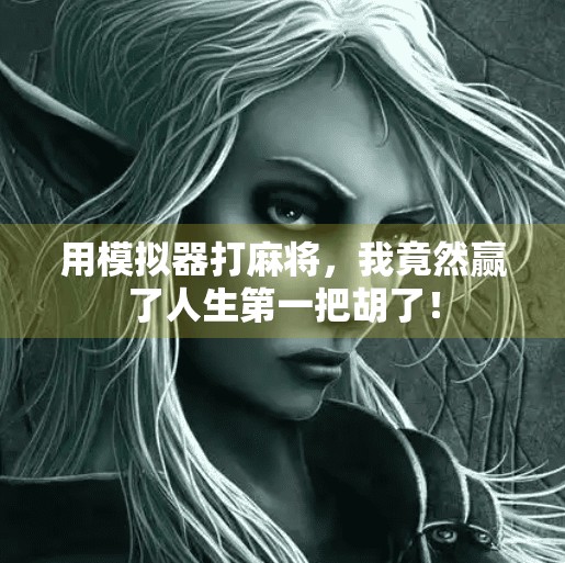 用模拟器打麻将，我竟然赢了人生第一把胡了！