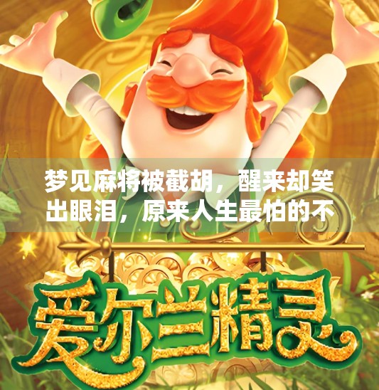 梦见麻将被截胡,醒来却笑出眼泪,原来人生最怕的不是输,是差一点!