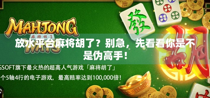 放水平台麻将胡了？别急，先看看你是不是伪高手！